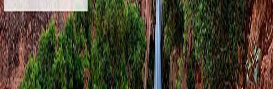 Desert Cove Recovery Cover Image