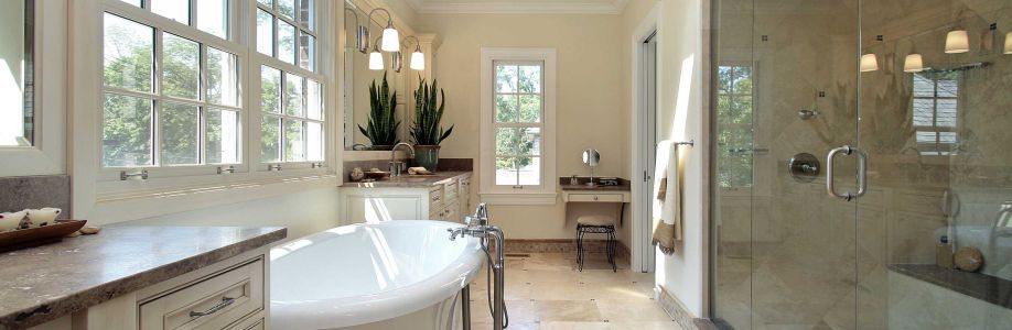 North American Stone Cover Image