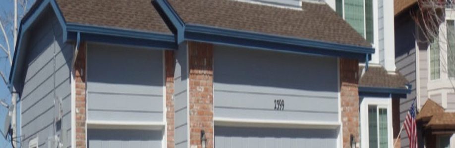 Pro Classic Painting Cover Image