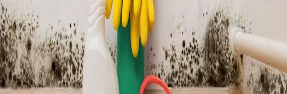 Charm City Mold Inspections Cover Image