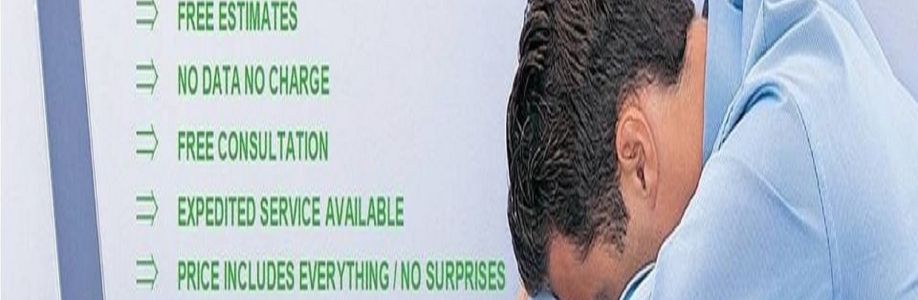 Qubex Data Recovery Cover Image